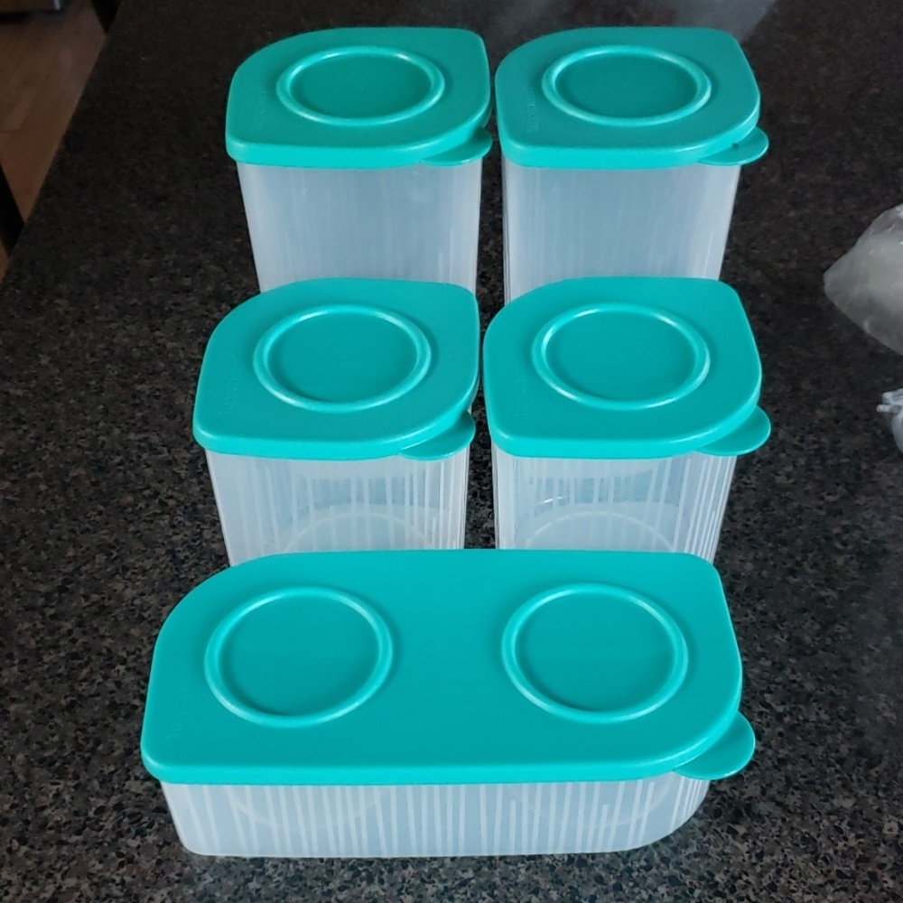 NIP Tupperware Containers Teal